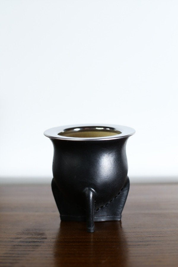 Mate Camionero