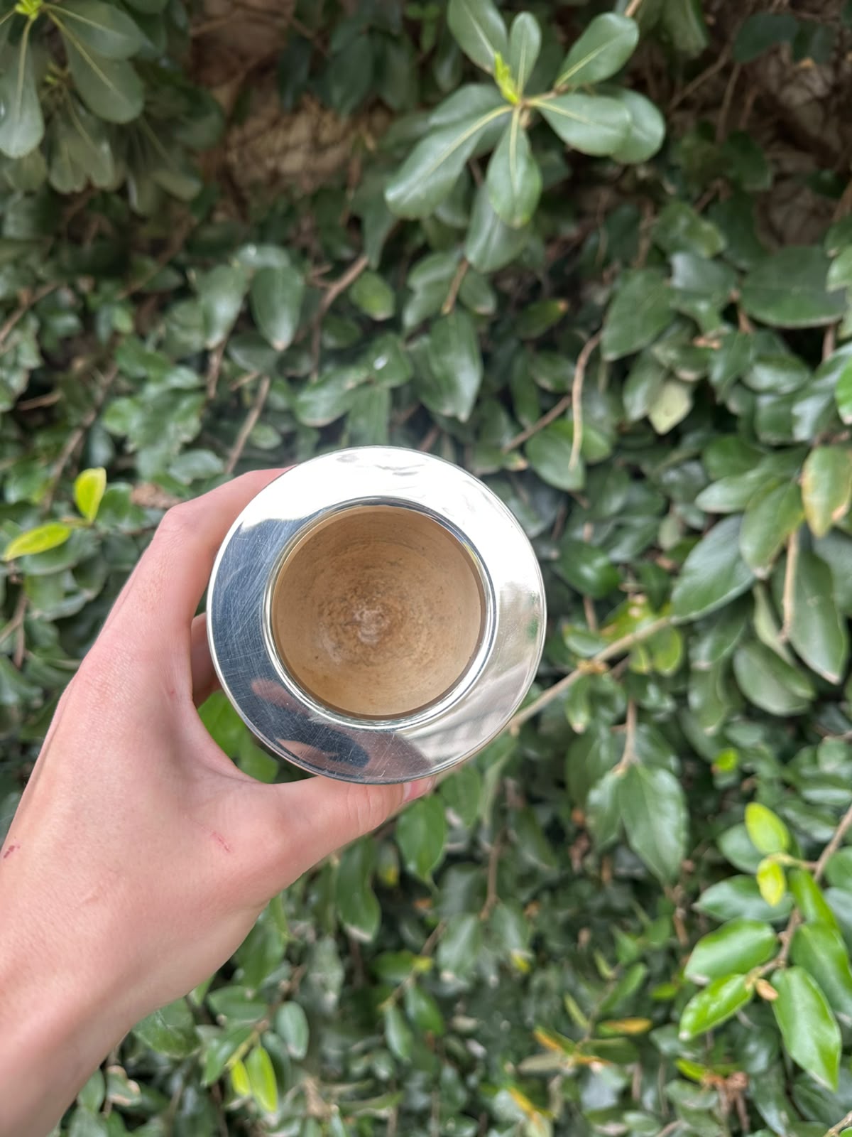 Mate Imperial Virola de Alpaca